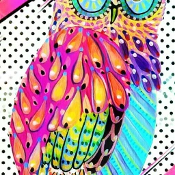 wappopart popart rainboweffect magiceffect owl