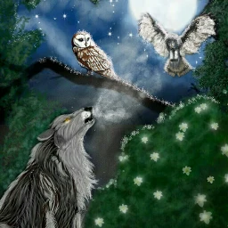 wdpnightsky colorsplash forest petsandanimals owls wolf flower nighttime moon draw